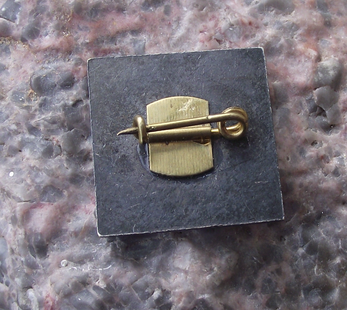 1975 Tour Danube Canoe Kayak XX 20th Meeting Pin Badge