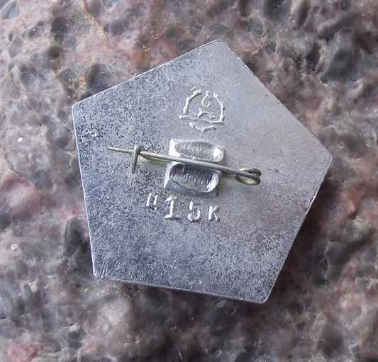 Vintage Russian Destroyer Gremyashchiy 1937 World War 2 Warship Pin Badge - Badgecrazy