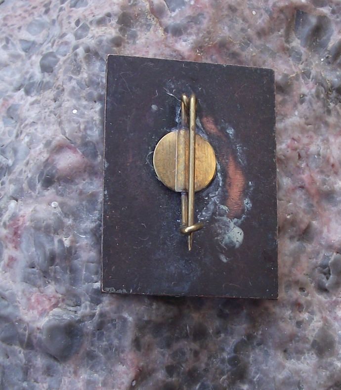 Vintage Narva Castle and Town Hall Estonia Souvenir Pin Badge