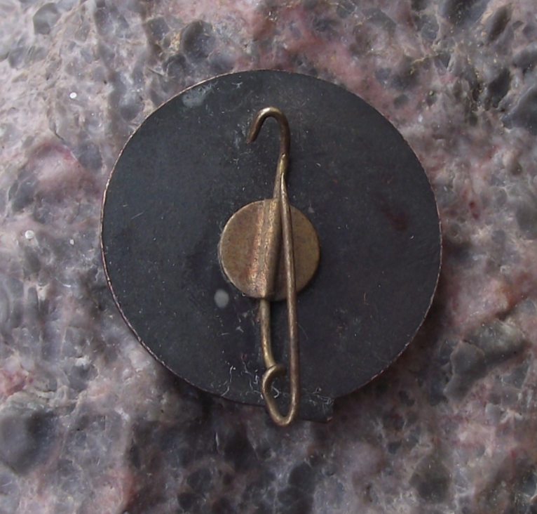 Vintage Estonia Tallinn Toompea Castle Parliament Souvenier Pin Badge