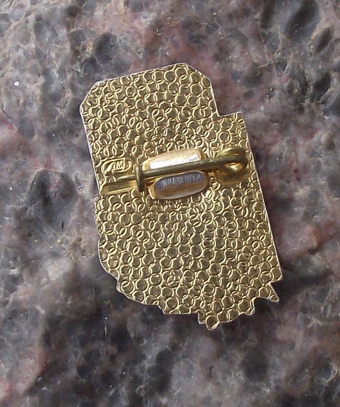 Vintage Lenin on Balcony Museum of October Revolution Saint Petersburg Pin Badge