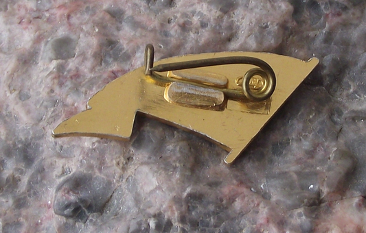 Vintage Moscow River Shipping Company Soviet Union House Flag Pin Badge - Badgecrazy