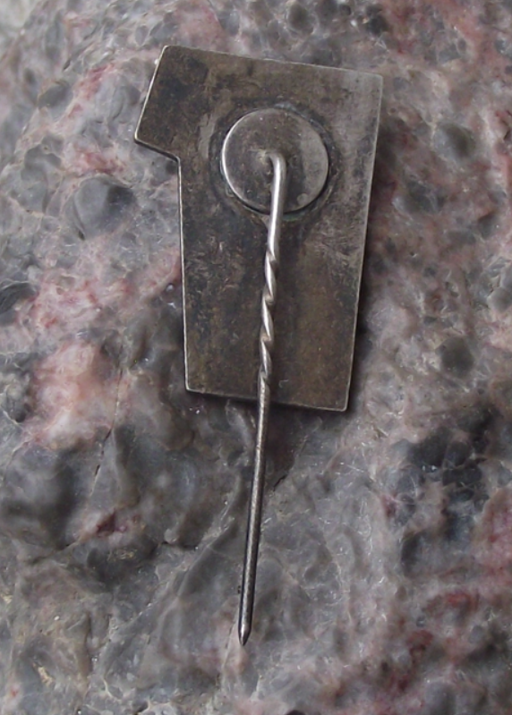 1960 Estonia XX 20th National Music Laulupidu Festival ENSV Pin Badge