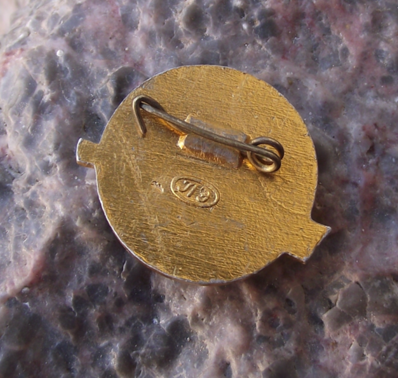 Vintage German then Soviet Ship Pobeda Black Sea Shipping Pin Badge
