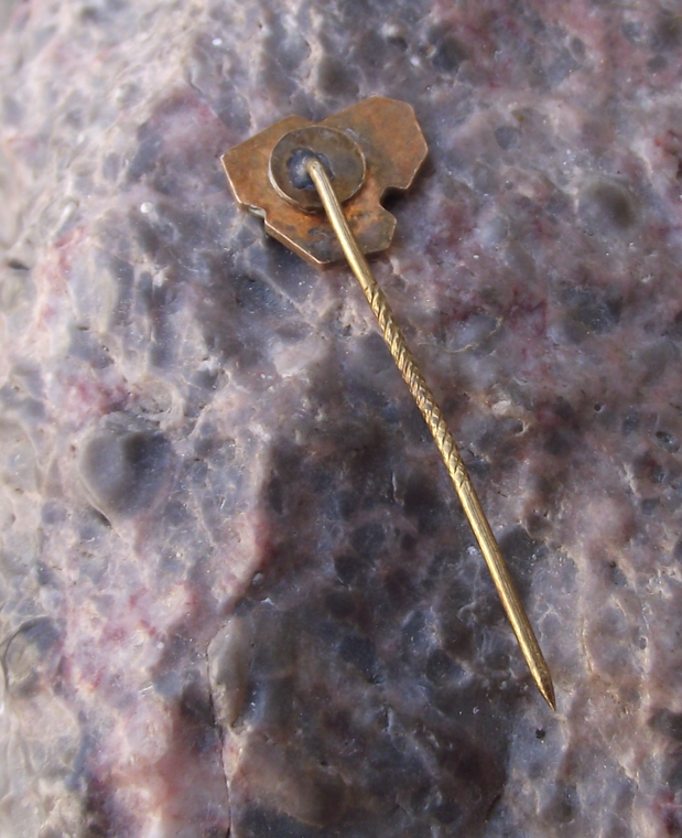 Vintage Lithuania Soviet Socialist Republic Flag Country Shaped Pin Badge