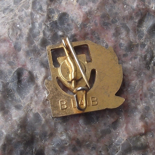 Vintage 4000 km IVV Internationaler Volkssportverband Large Award Pin Badge