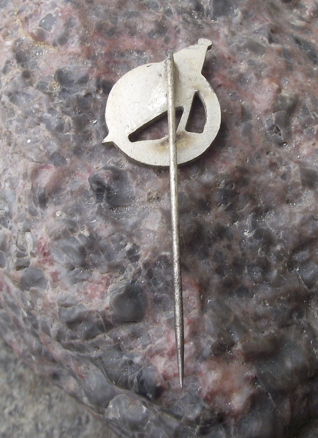 Vintage Deutsche Binnenreederei DDR Shipping Company House Flag Pin Badge