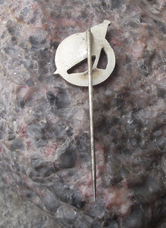 Vintage Deutsche Binnenreederei DDR Shipping Company House Flag Pin Badge - Badgecrazy