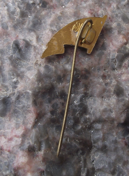 Vintage Moscow River Shipping Company Soviet Union Flag Pin Badge - Badgecrazy