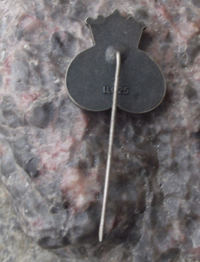 Vintage Tallinn Estonia Royal Crown over Rope Knot Souvenir Pin Badge
