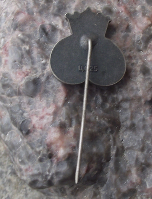 Vintage Tallinn Estonia Royal Crown over Rope Knot Souvenir Pin Badge