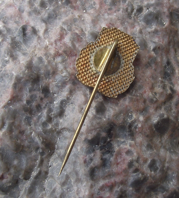 Vintage Poland Polish Chess Association Red Rook Castle Pin Badge