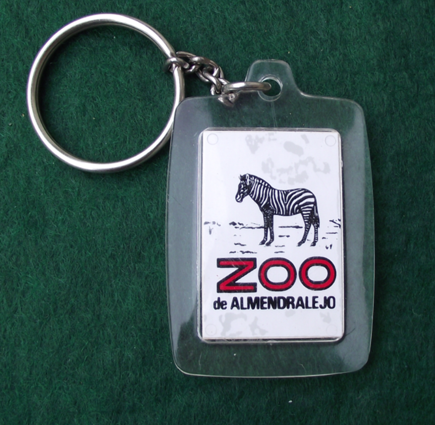 Vintage Zoo de Almendralejos Abandoned Post Apocalyptic Zebra Keychain Keyring