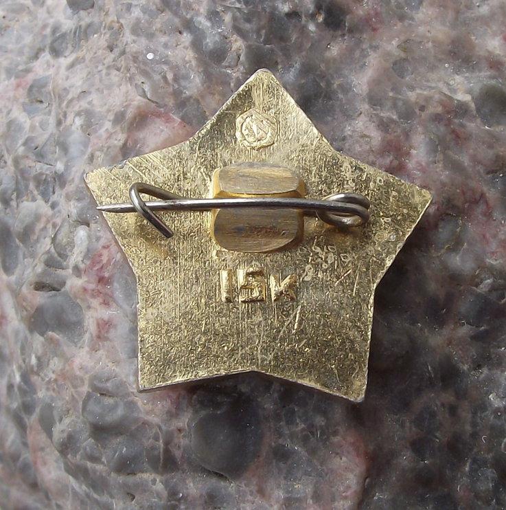 1968 Proton 4 Cosmic Ray Detection Soviet Satellite Star Pin Badge