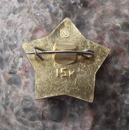 1968 Proton 4 Cosmic Ray Detection Soviet Satellite Star Pin Badge - Badgecrazy