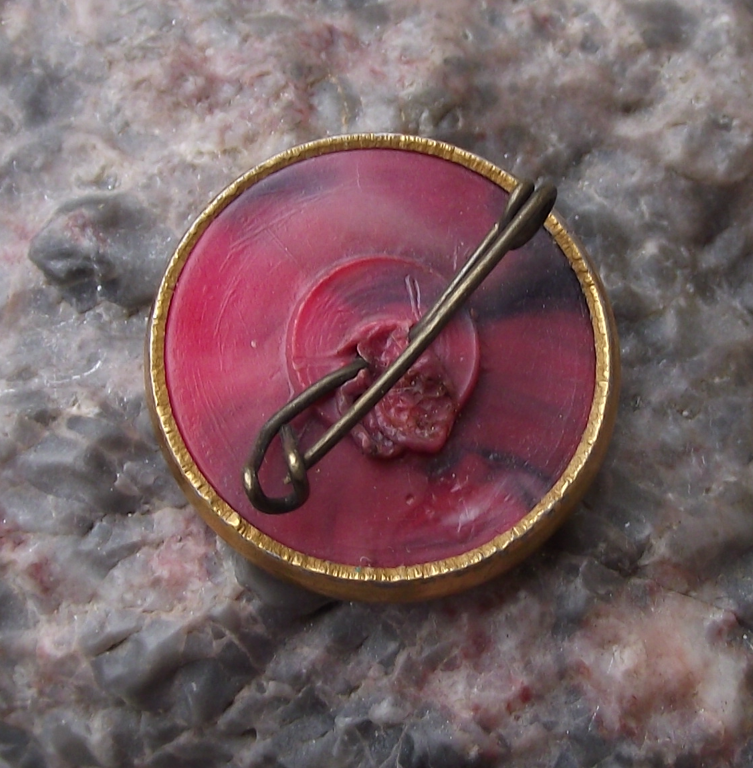 1963 Valentina Tereshkova Soviet Vostok Space Astronaut Photograph Pin Badge