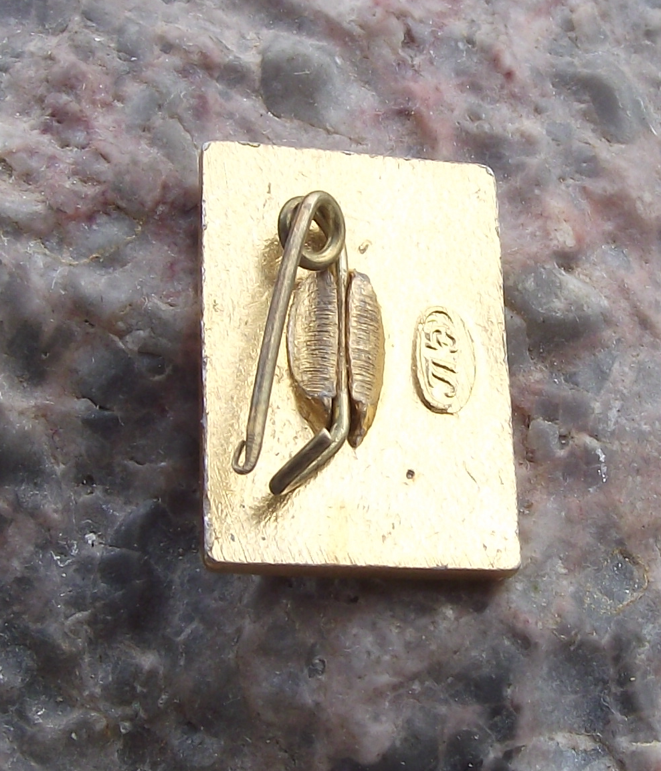 Vintage Sputnik 1 Satellite Earth Orbit Russian Jewel Space Race CCCP Pin Badge