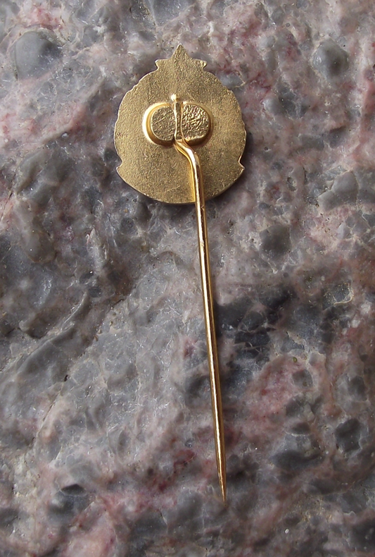 Vintage SCSP Flags Czechoslovakia Russia Red Star and Laurel Wreath Pin Badge