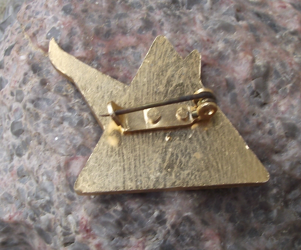 Young Skier Czechoslovakia Youth Skiing Camping Pioneer Award Pin Badge