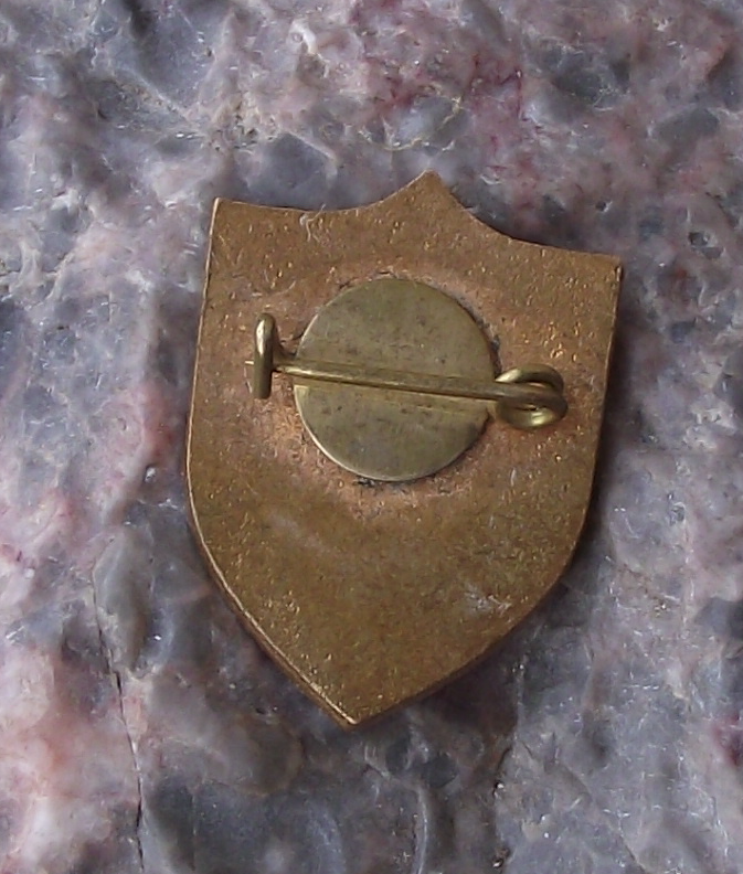 Vintage Estonia Three Lions National Parliamentary Crest Shield Flag Pin Badge