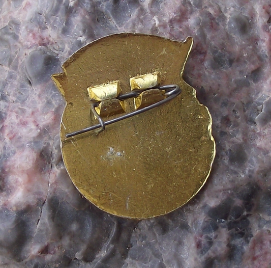 Vintage North Korea Socialist Patriotic Youth League Pin Badge