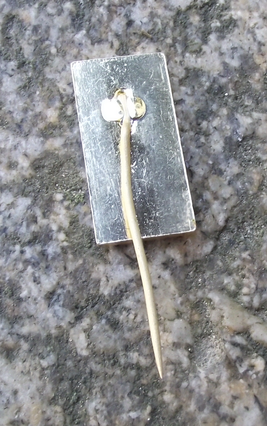 1979 Czechoslovakia Pioneer Youth Group Movement 30th Anniversary Pin Badge - Badgecrazy