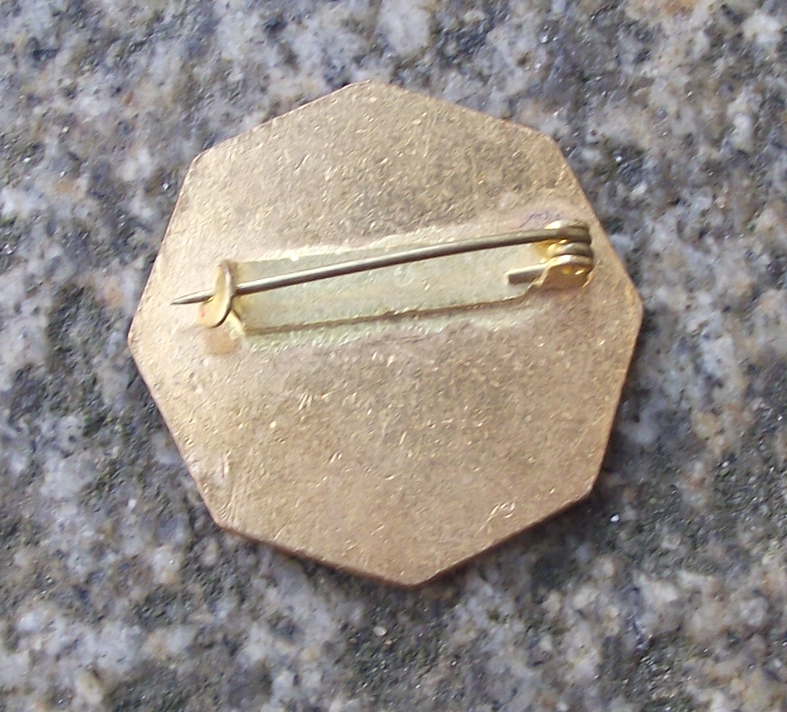 Vintage Pioneer Czech Pionyr Youth Camp Award Stage 1 Camping ROH Pin Badge
