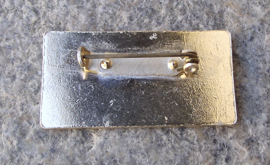 Vintage Pioneer Czech Pionýr Camp Children's Recreation 2 Star ROH Pin Badge - Badgecrazy