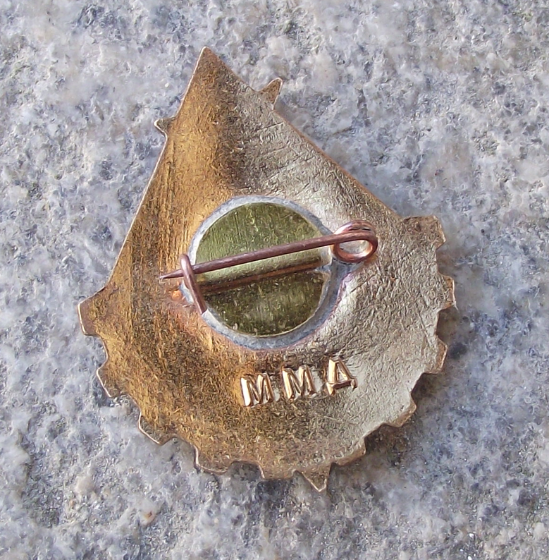 Vintage Young Technician Soviet CCCP Youth Pioneer Communist Award Pin Badge