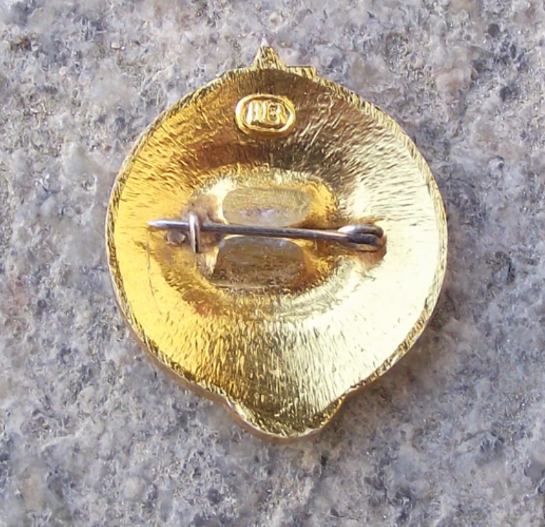 Vintage Young Tourist Soviet CCCP Soviet Youth Pioneer Award Pin Badge