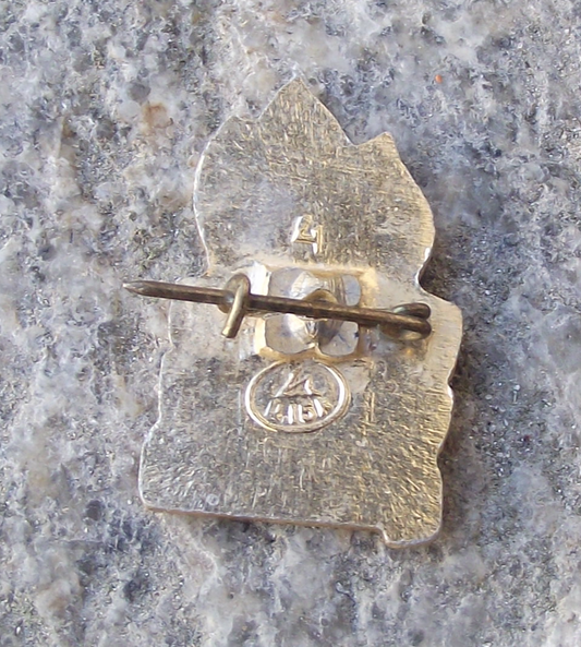 1972 Soviet Union Young Pioneer Youth 50th Anniversary Flames Motif Pin Badge