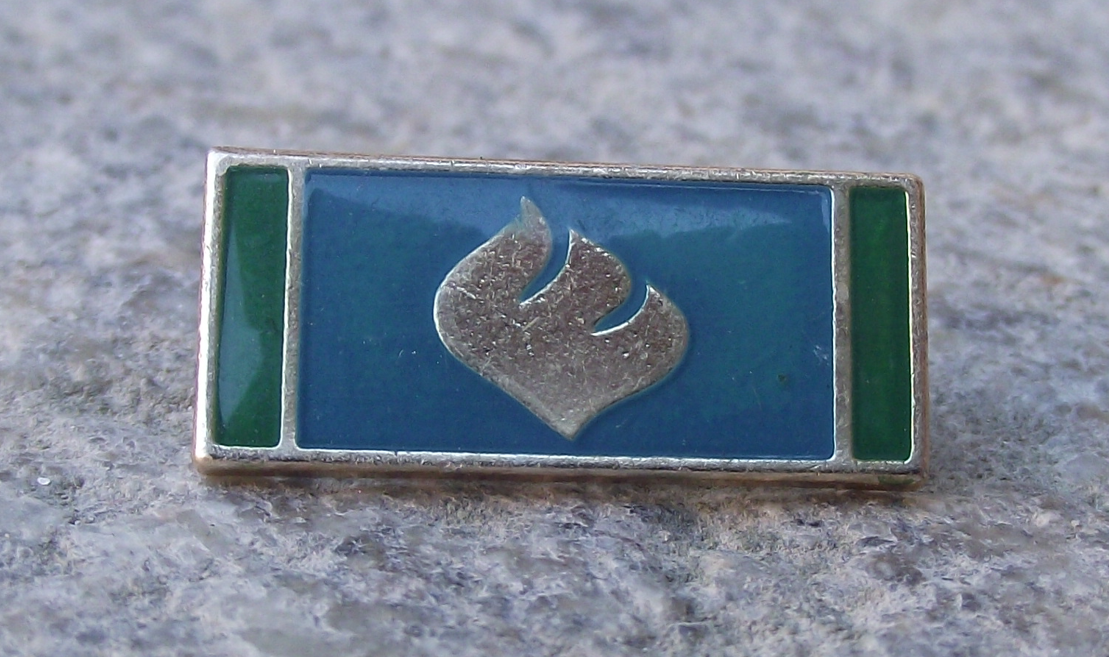 Vintage Pioneer Czech Scouts Blue Flame Ribbon Award Pin Badge
