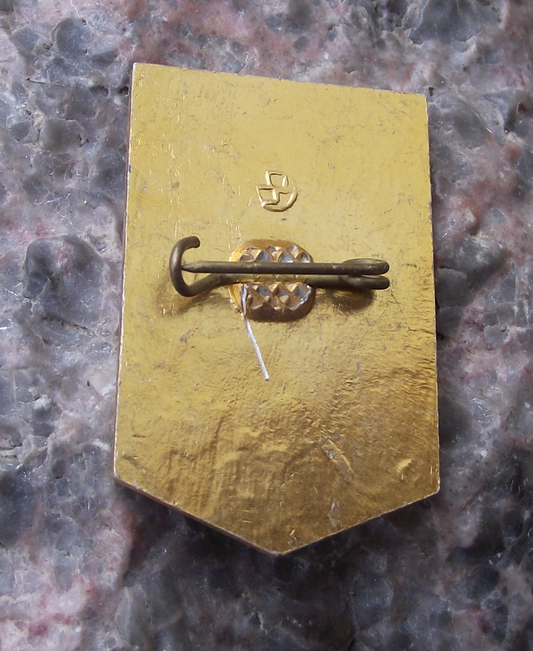 Vintage Shock Worker of Communist Labour Lenin Award Pin Badge