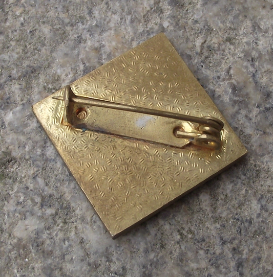 Vintage Czech Pioneer Pionyr Youth Camp Slalom Skiing ROH Pin Badge
