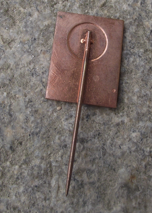 Vintage Czech Pioneer Pionyr Youth Camp ROH Star Compass Pin Badge - Badgecrazy