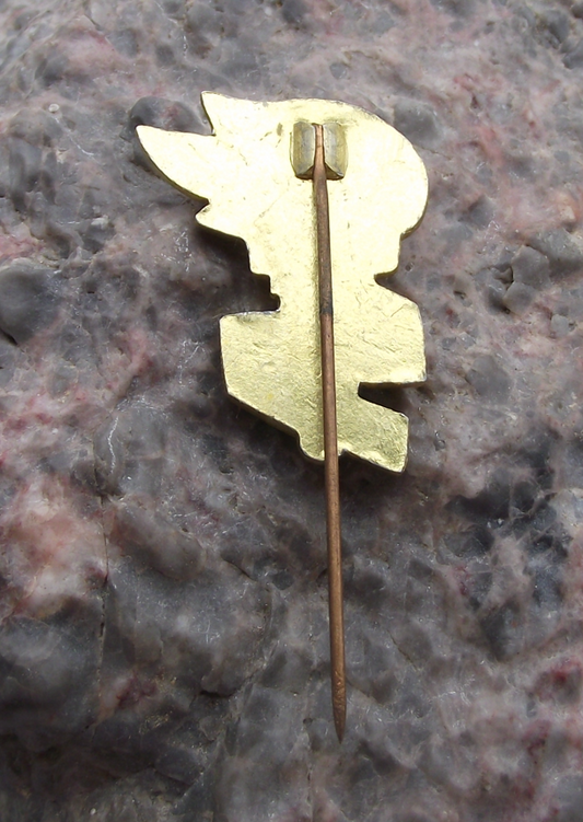 Vintage North Korean Juche State Ideology Flaming Torch Pin Badge