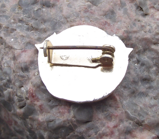 Vintage Czech Pioneer Scout Youth Group Troop Leader Grade 3 Pin Badge - Badgecrazy