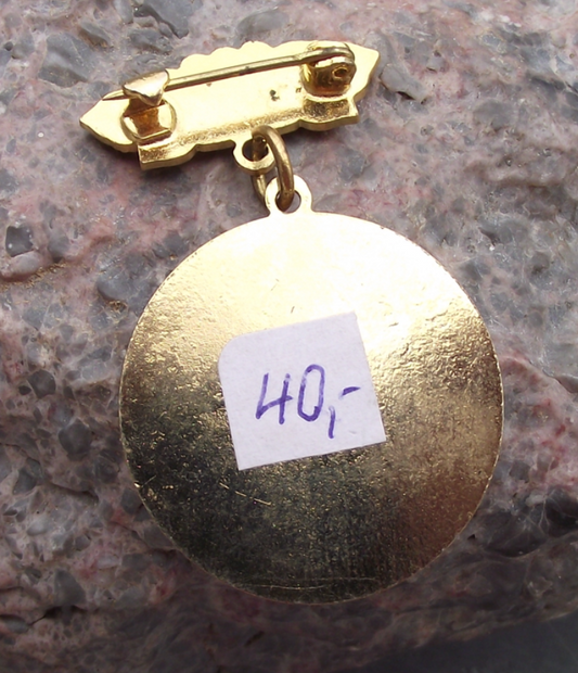 Vintage Czech Women's Union CSZ Distinguished Official Medal Pin Badge - Badgecrazy