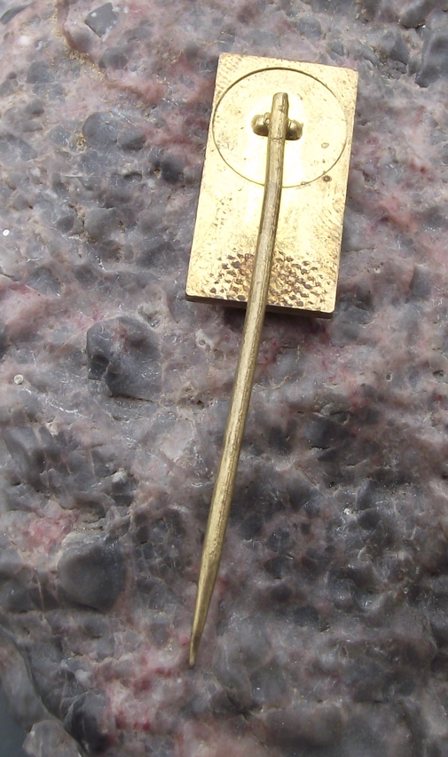 Vintage AIDS Awareness Black Skull Pin Badge