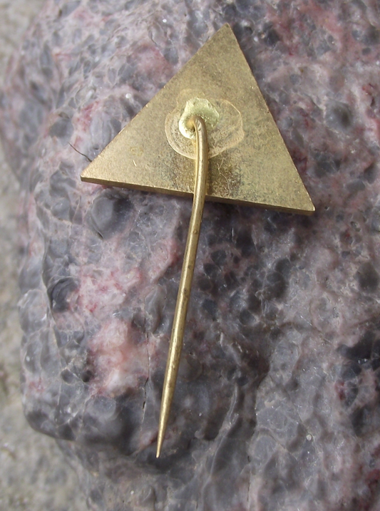 Vintage Czech Young Fire Fighter Pioneer Youth Leader Pin Badge
