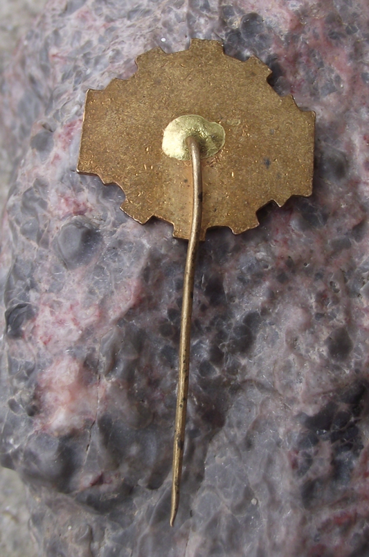 1960 Czechoslovakia Conarky Guinea National Flags Pin Badge - Badgecrazy