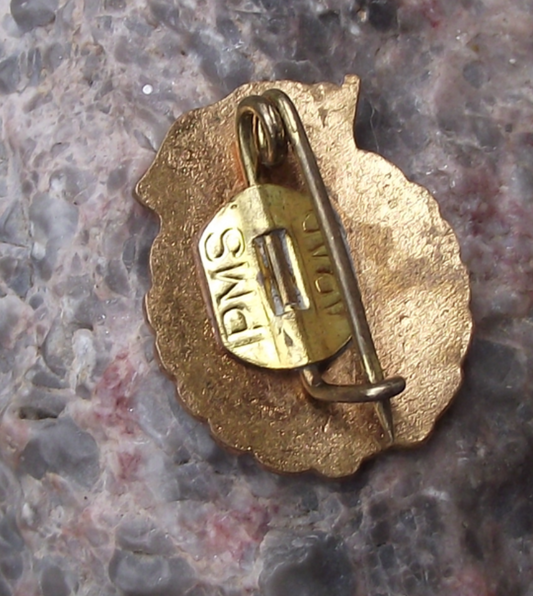 Vintage Socialist Romania UCFS Athletics Flaming Torch Youth Pin Badge