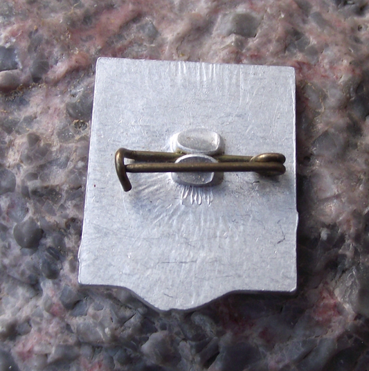 Vintage Taras Shevchenko Soviet Union Ukrainian Poet Pin Badge