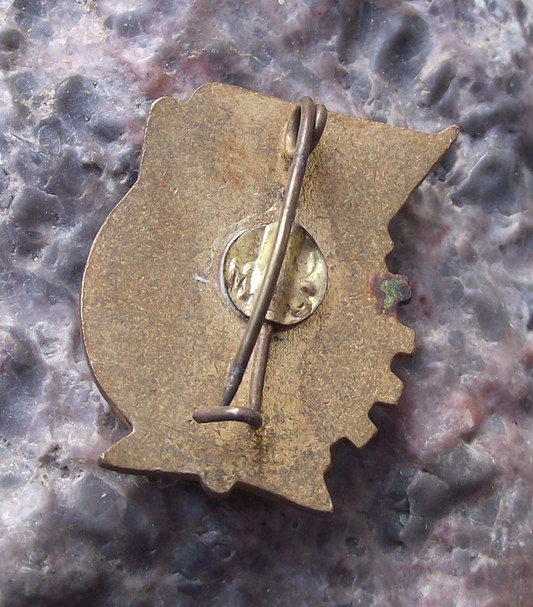 Vintage Romania General Labour Trade Union UGS Membership Pin Badge