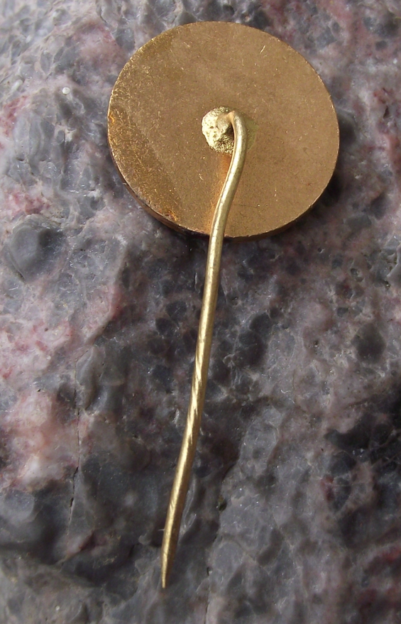 Vintage ASD Associazione Sportiva Edera Trieste Ice Hockey Team Pin Badge