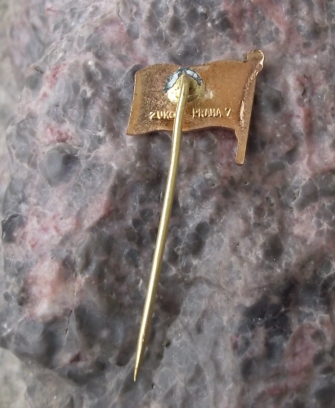Vintage HC Vajgar Jindřichův Hradec Czech Ice Hockey Team Flag Pin Badge