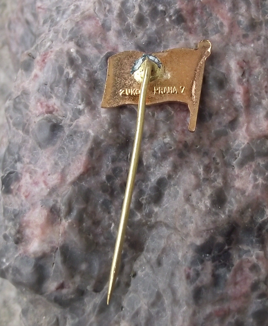 Vintage HC Vajgar Jindřichův Hradec Czech Ice Hockey Team Flag Pin Badge