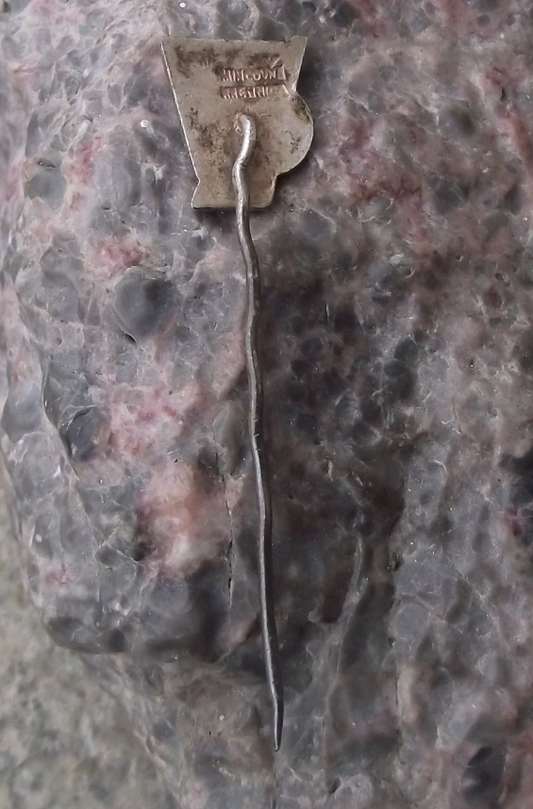 Vintage Skoda Plzen Ice Hockey Club Czechoslovakia Pin Badge - Badgecrazy