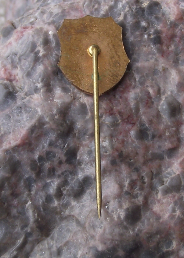 1979 Skoda Spartak Sedlec Ice Hockey Club Anniversary Pin Badge - Badgecrazy