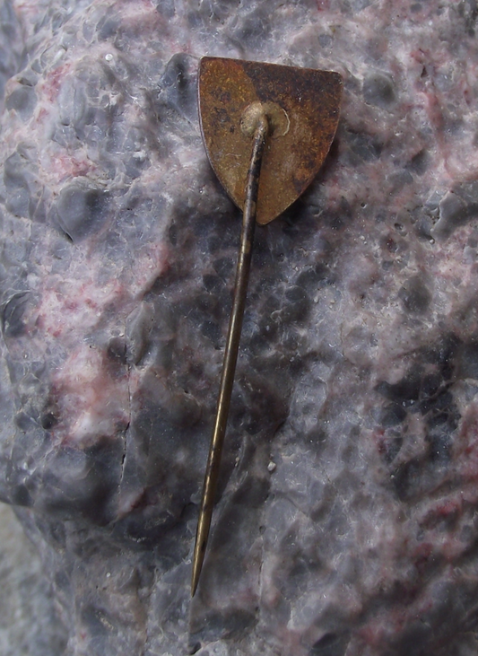 Vintage TJ Gottwaldov Zlin Ice Hockey Club Pin Badge - Badgecrazy